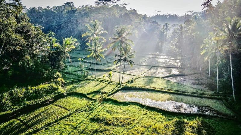 Ubud, Bali, Indonesia