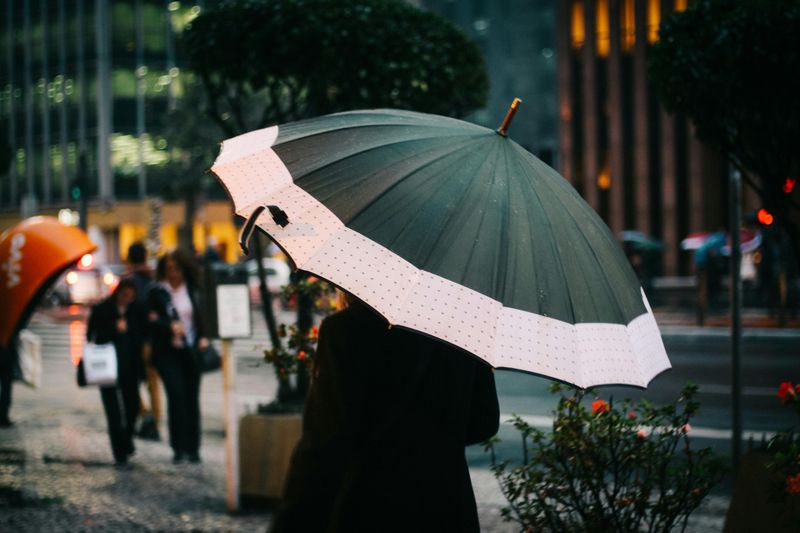 Umbrella
