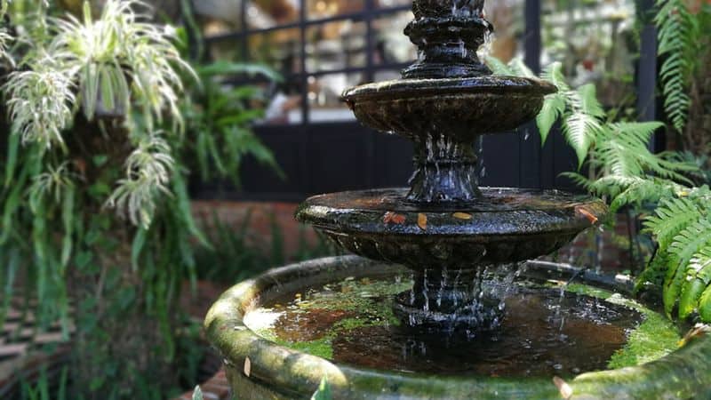 Water Features