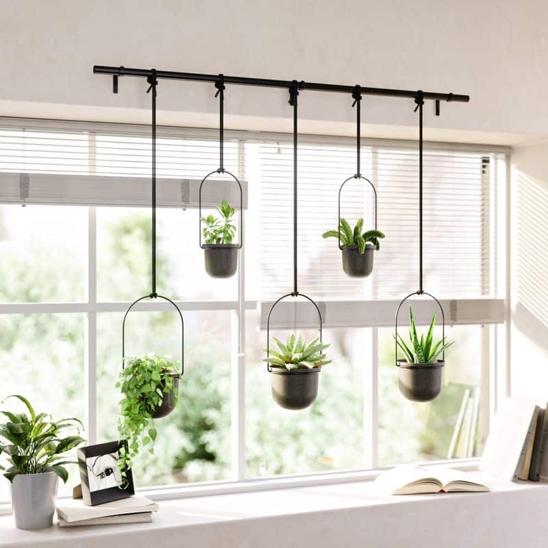 Hanging Planters