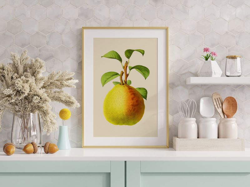 Botanical Illustrations