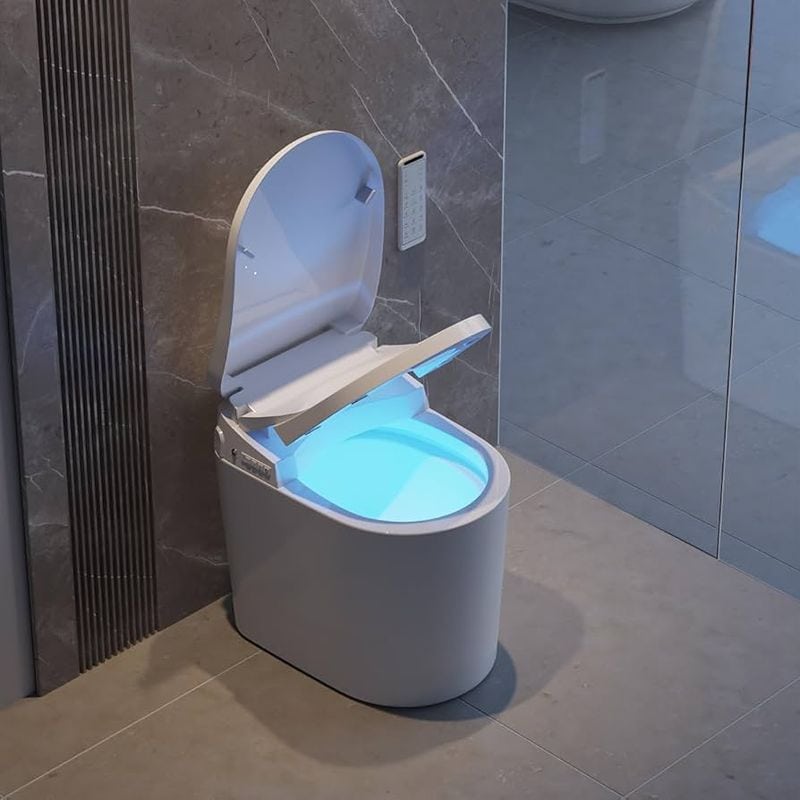 Intelligent Toilet with Bidet