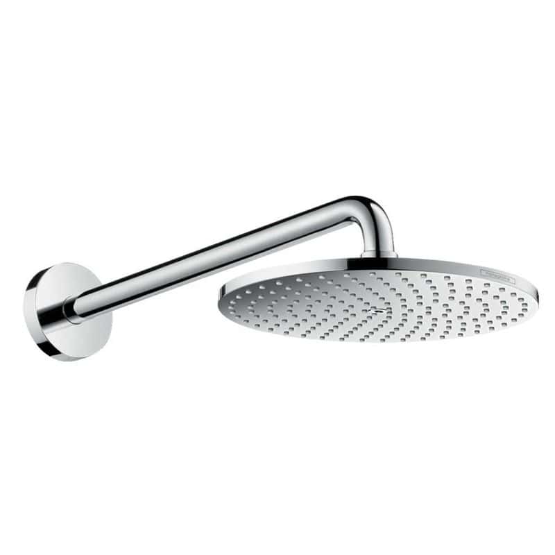 Hansgrohe Raindance Showerhead