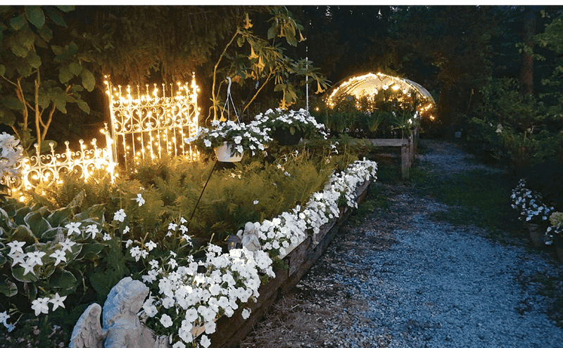 Nocturnal Garden