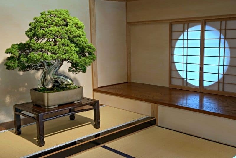 Bonsai Artistry