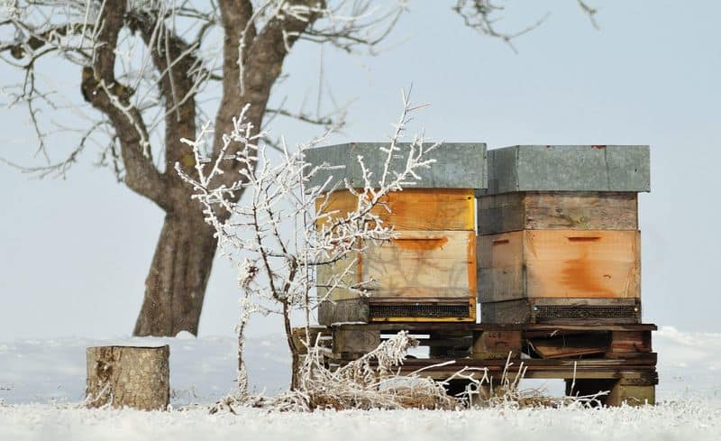 Winter Preparation