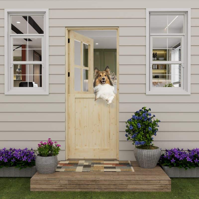 Dutch Doors