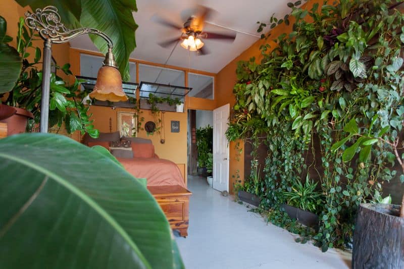 Vertical Greenery Wall