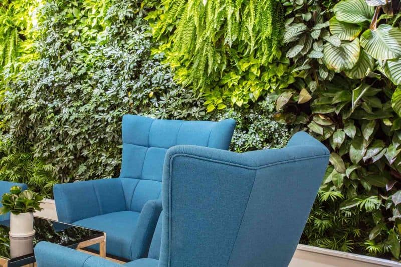 Vertical Herb Garden