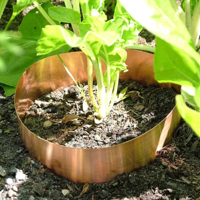 Copper Strips