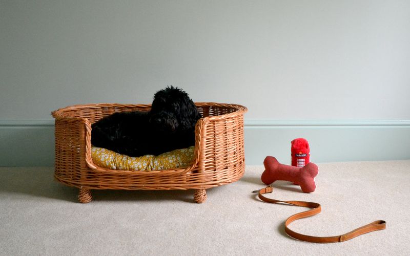 Capel Print Rattan Dog Bed by Coco & Wolf