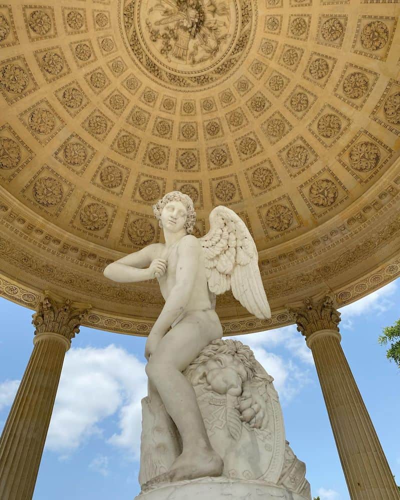 Cupid's Delight