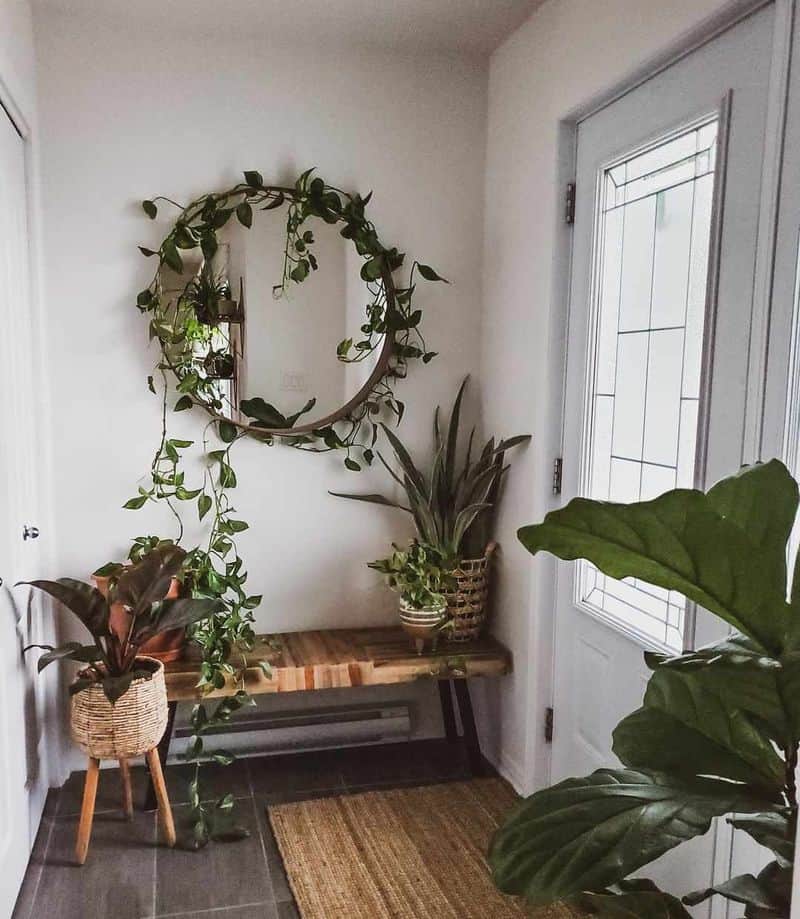 Nature-Inspired with Indoor Plants