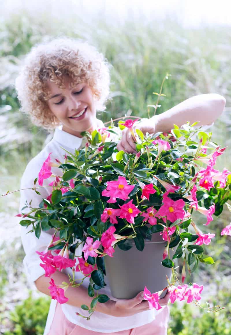 Fertilization Practices