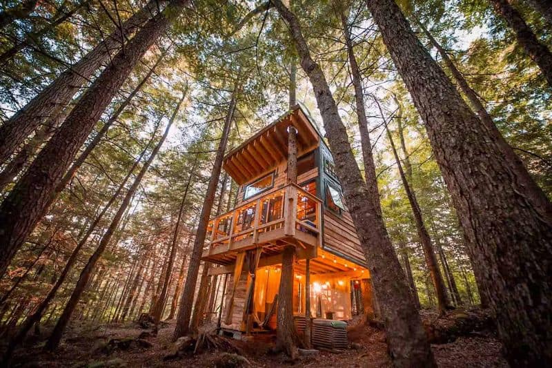 Treehouse Solitude