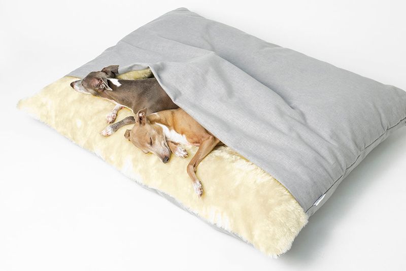 Limited Edition Snuggle Bed in Cosmo, Charley Chau