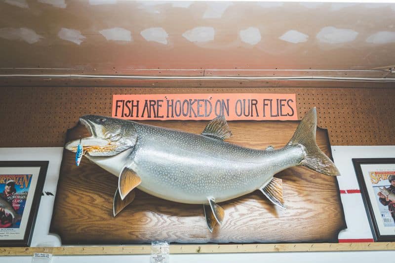 Mounted Fish Trophy Wall