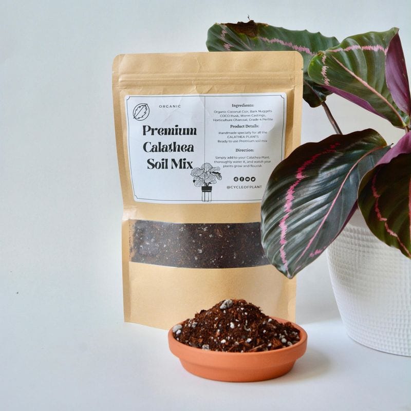 Choosing the Right Potting Mix