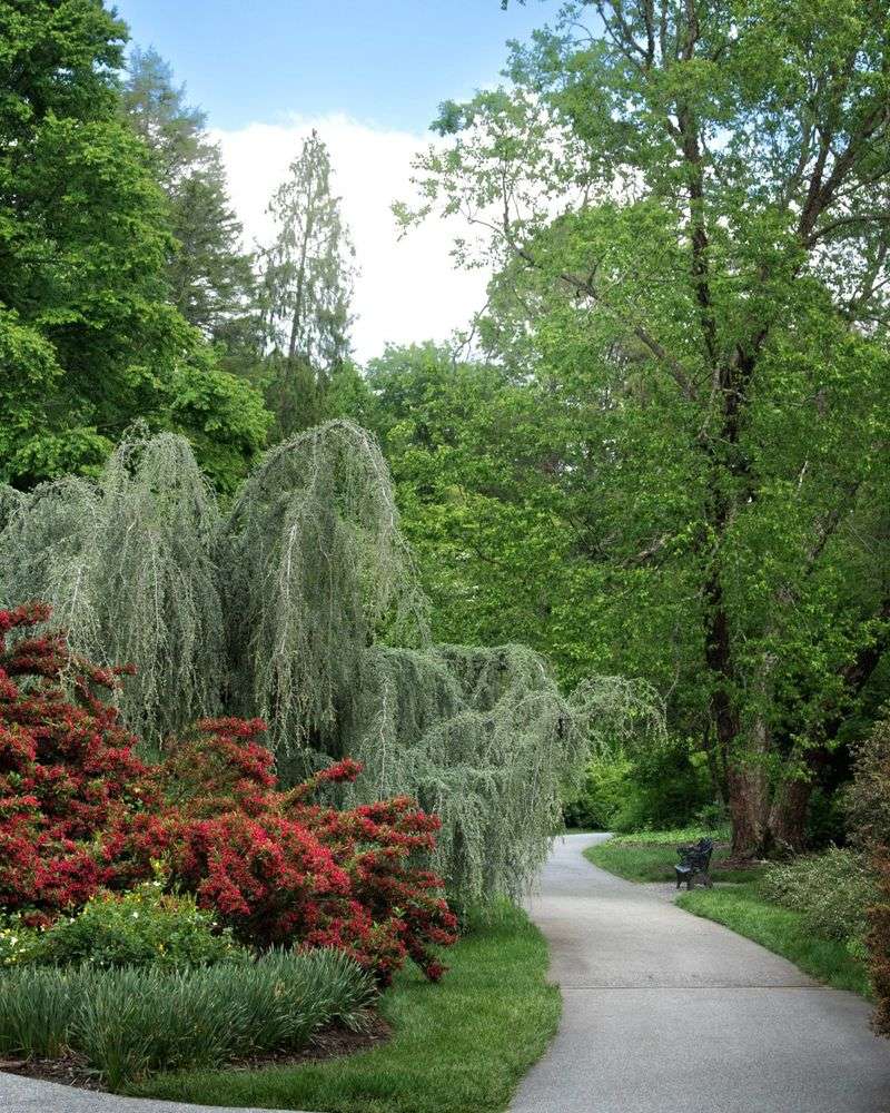 Pathway Integration