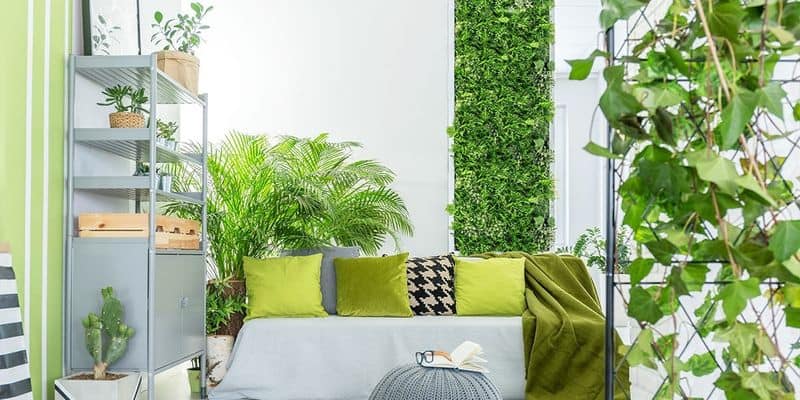 Vertical Wall Gardens