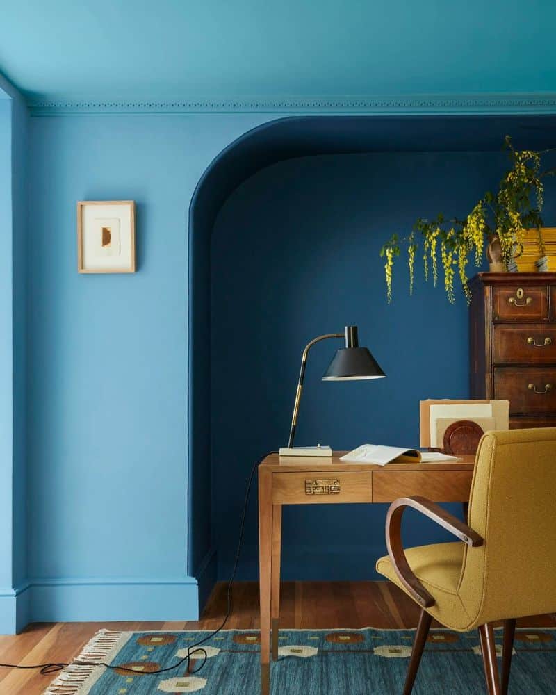The Bold Blue Office