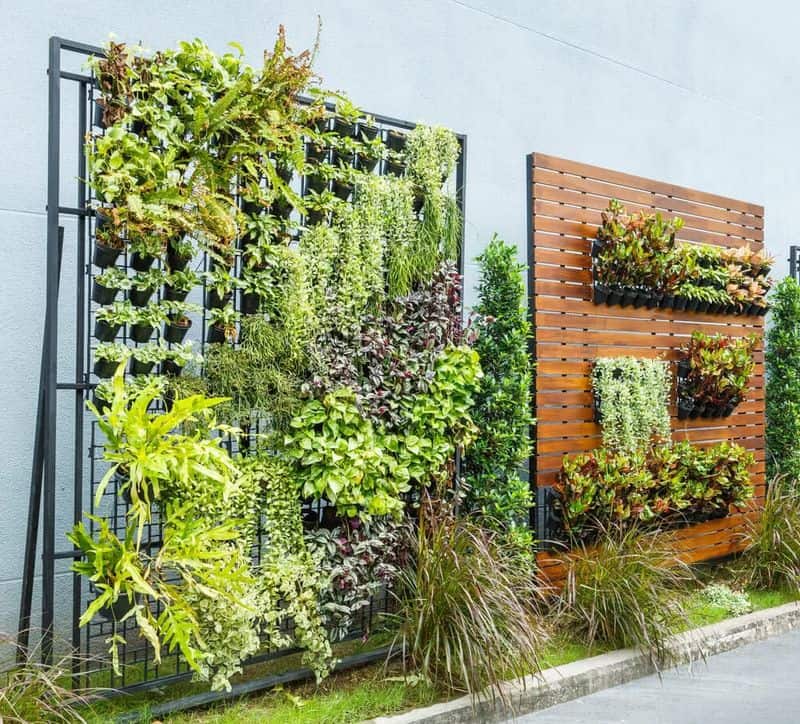 Vertical Garden Walls
