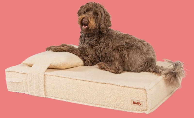 The Wiggle Orthopedic Pet Bed by Buffy