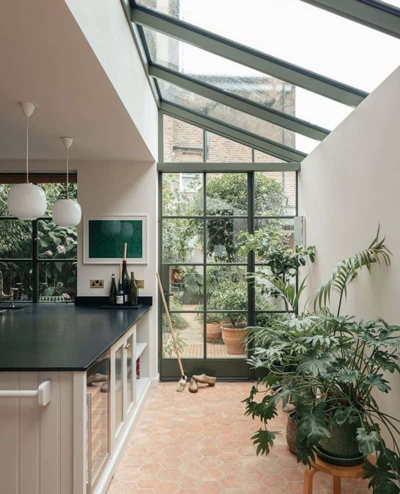 Tropical Oasis