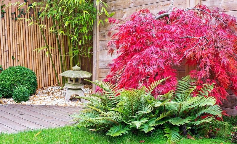 Miniature Zen Garden