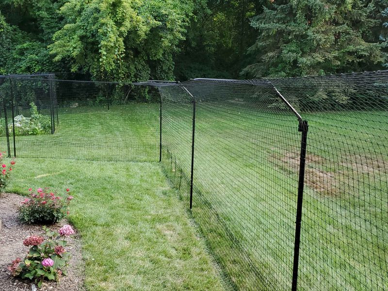 Temporary Fencing