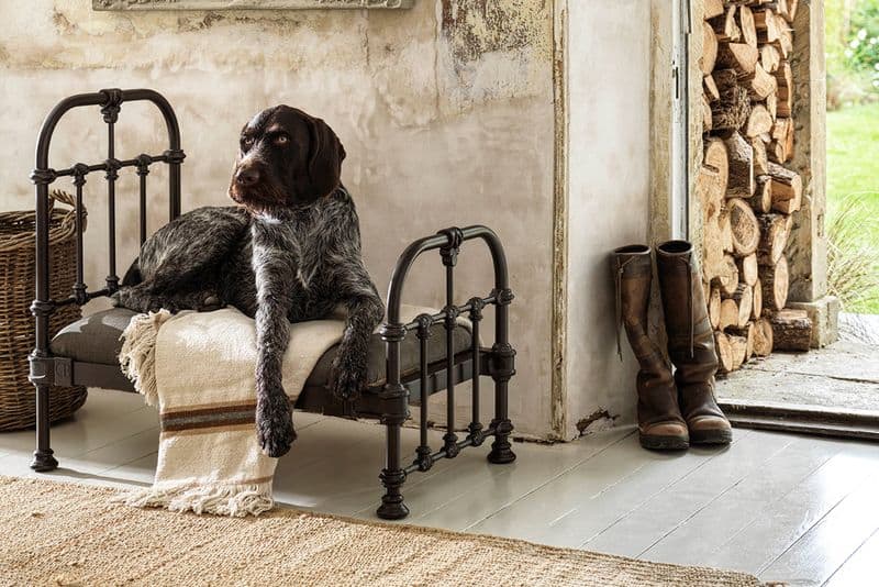 Victorian Dog Day Bed from Cornish Beds