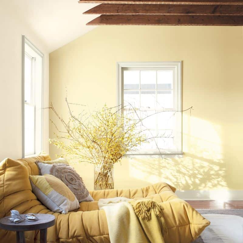Enhances Natural Light