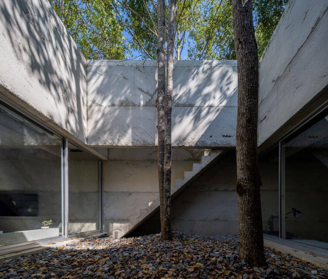 10 Incredible Homes That Kept Trees Right Where They Were – DecoFond