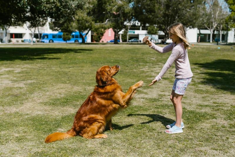 Control Barking