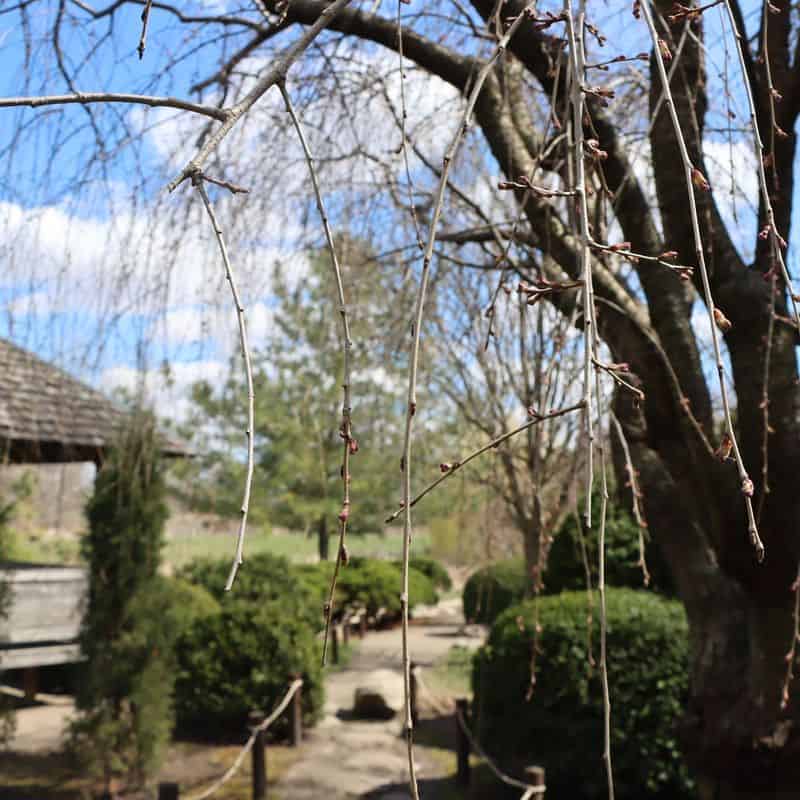 Cranes and Straw: Tools of the Trade