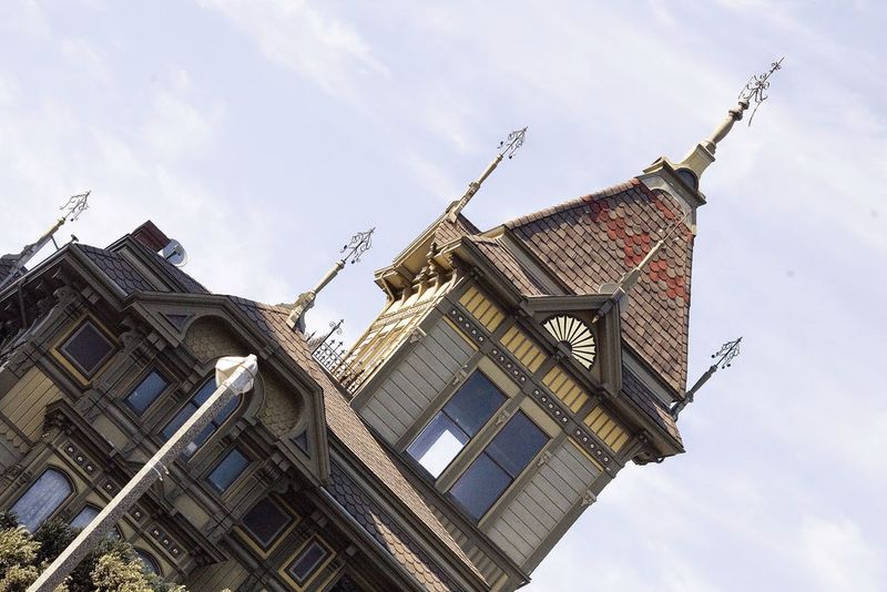 Family Dog and Music Legends