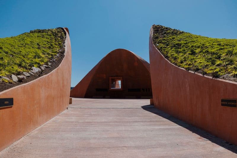 Healing and Resilience Symbol