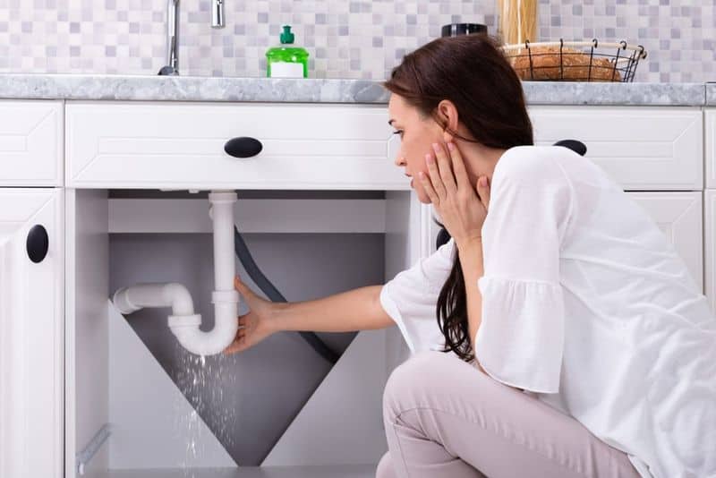 Ignoring Leaks and Water Damage