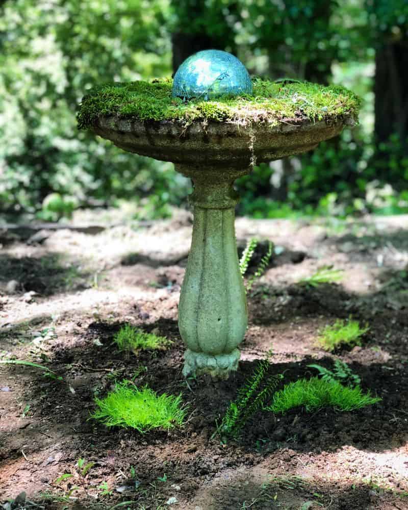 Ignoring Seasonal Changes