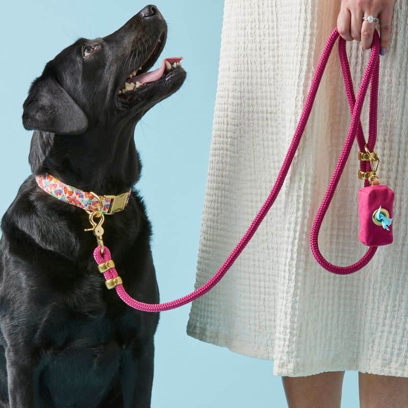 Keep Your Dog Leashed or Tethered