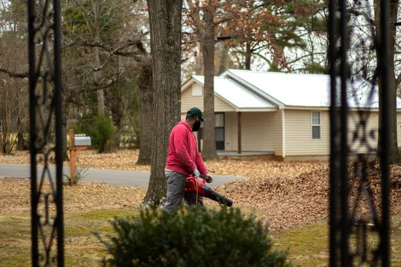 Leaf Blowers