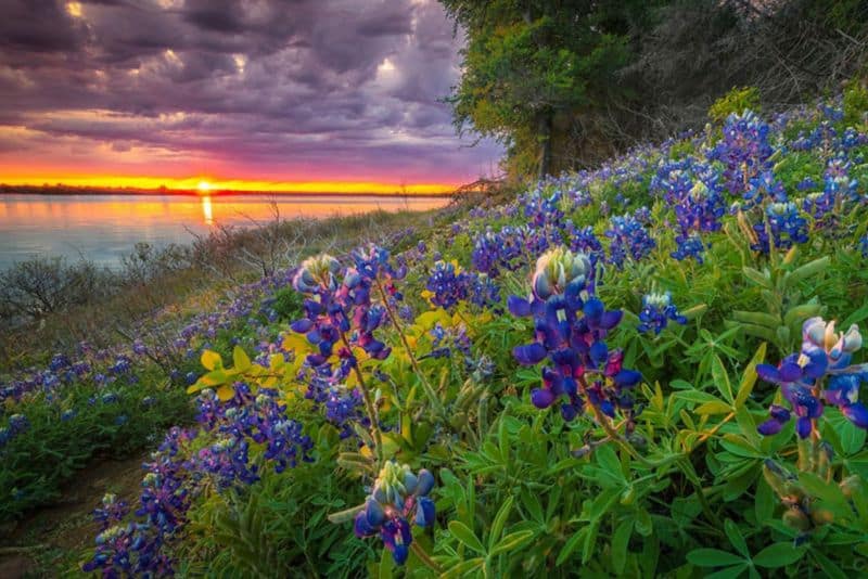 Natural Beauty