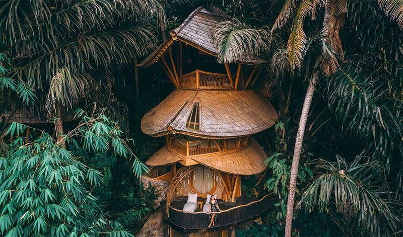 Overall Experience and Atmosphere