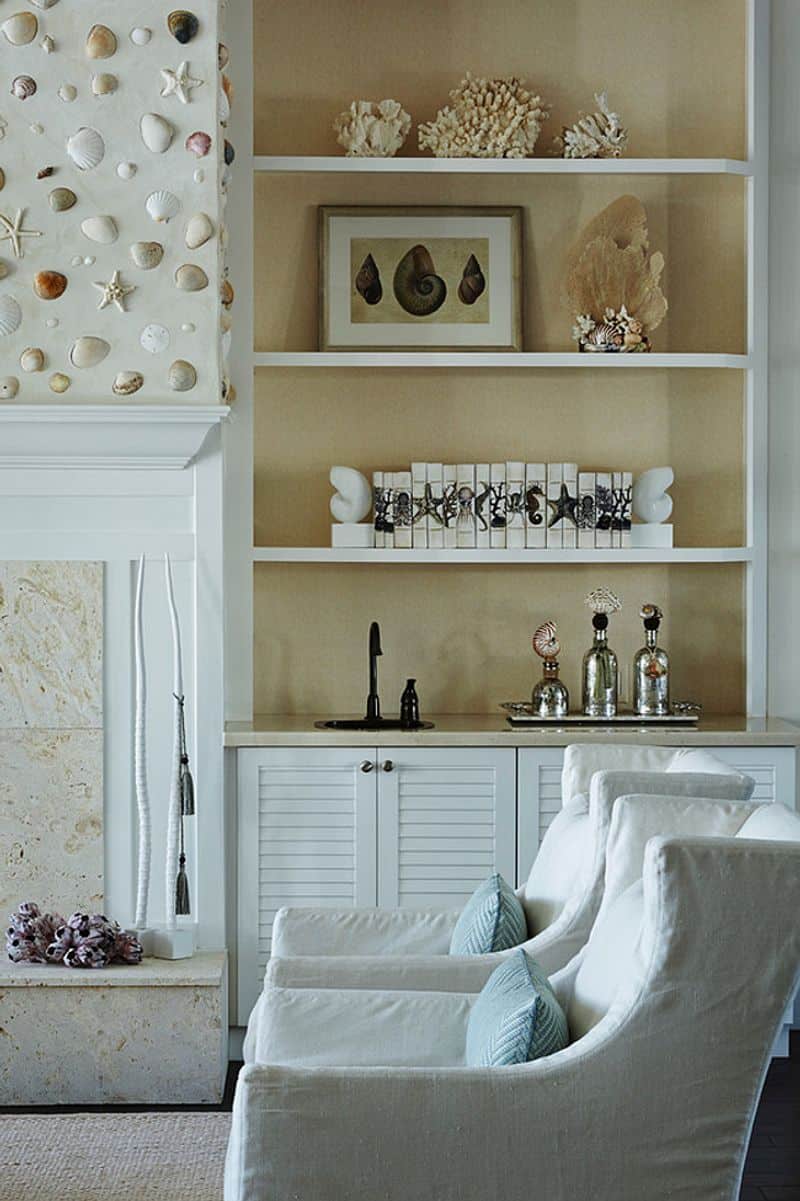 Seashells and Beach Finds