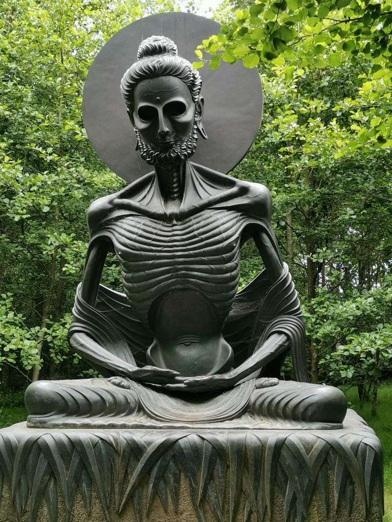 Skeletal Buddha's Reflection