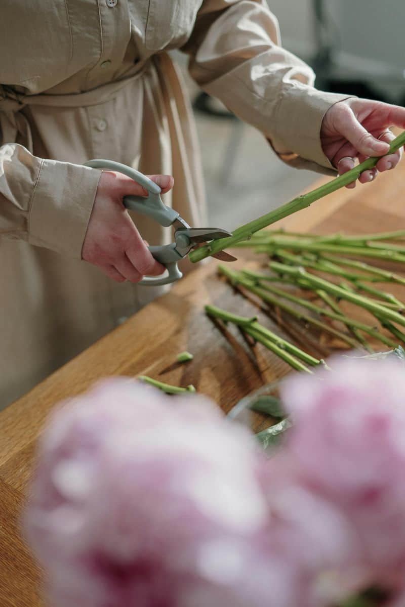 Trim Stems with Precision