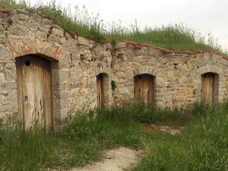 Turf Roof Innovation