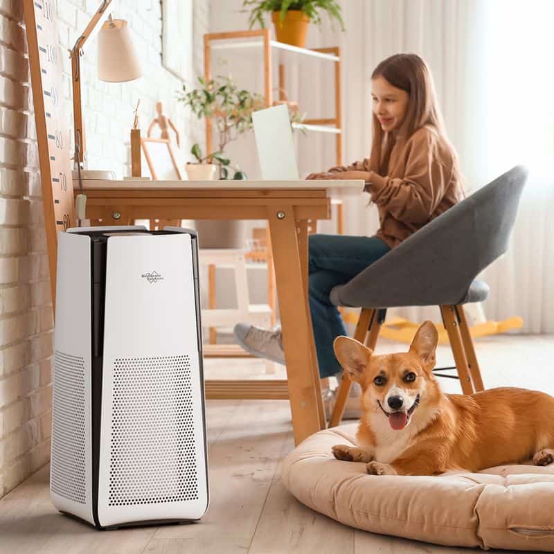 Advanced Air Filtration Systems