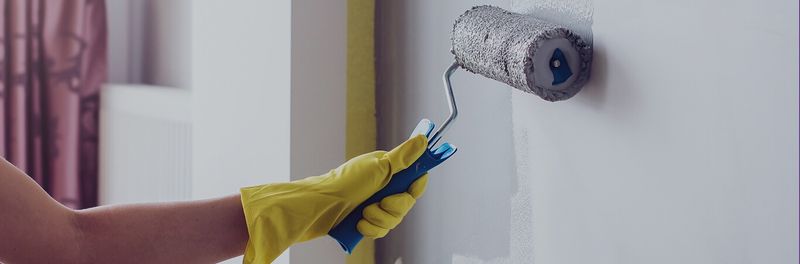 Anti-bacterial Paint