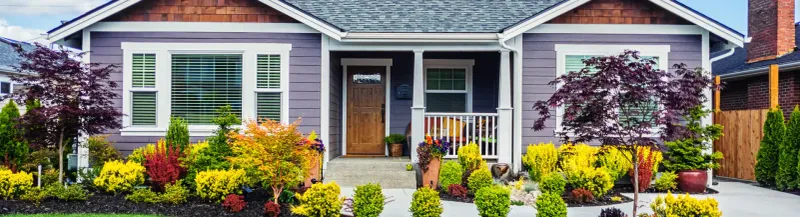 Cluttered or Overcrowded Elements